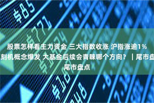 股票怎样看主力资金 三大指数收涨 沪指涨逾1% 光刻机概念爆发 大基金后续会青睐哪个方向？｜尾市盘点