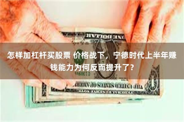 怎样加杠杆买股票 价格战下，宁德时代上半年赚钱能力为何反而提升了？