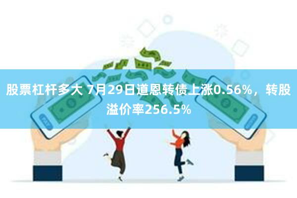 股票杠杆多大 7月29日道恩转债上涨0.56%，转股溢价率256.5%