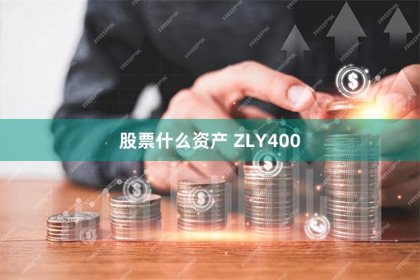 股票什么资产 ZLY400