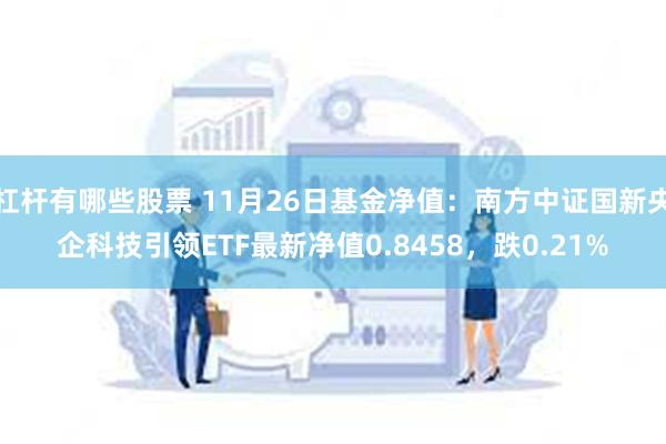 杠杆有哪些股票 11月26日基金净值：南方中证国新央企科技引领ETF最新净值0.8458，跌0.21%