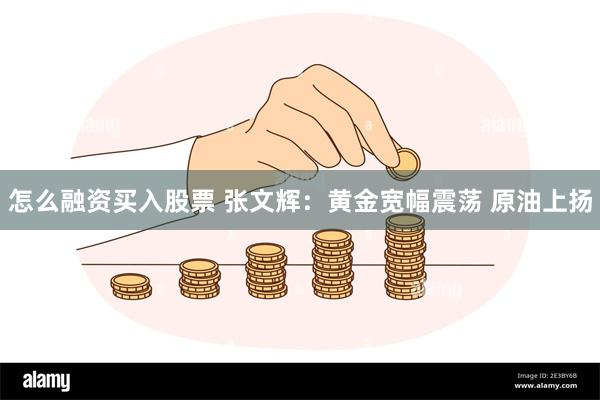 怎么融资买入股票 张文辉：黄金宽幅震荡 原油上扬