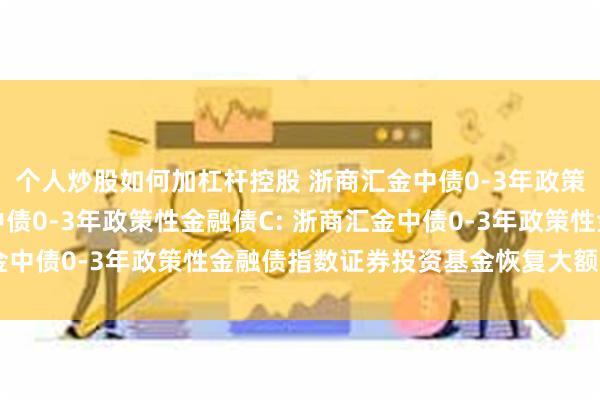 个人炒股如何加杠杆控股 浙商汇金中债0-3年政策性金融债A,浙商汇金中债0-3年政策性金融债C: 浙商汇金中债0-3年政策性金融债指数证券投资基金恢复大额申购公告