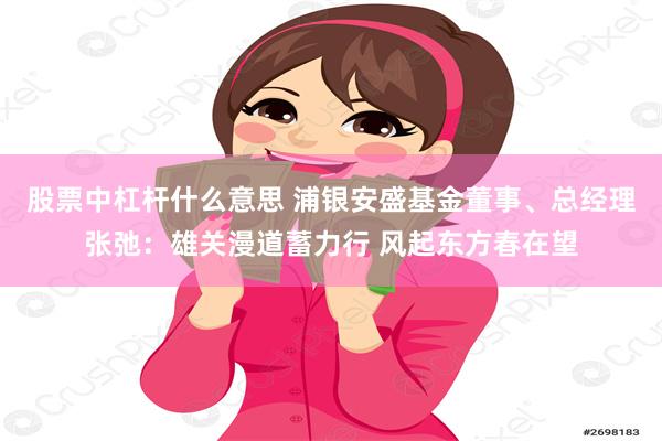 股票中杠杆什么意思 浦银安盛基金董事、总经理张弛：雄关漫道蓄力行 风起东方春在望