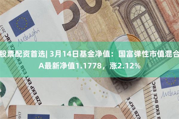 股票配资首选| 3月14日基金净值：国富弹性市值混合A最新净值1.1778，涨2.12%